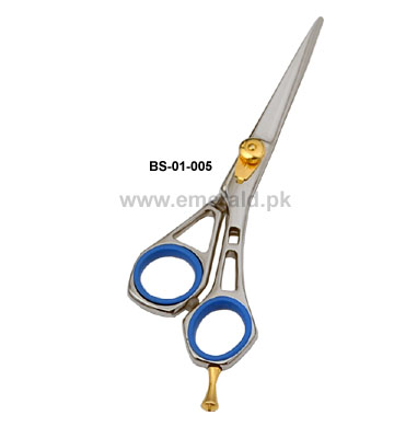 BS-01-005