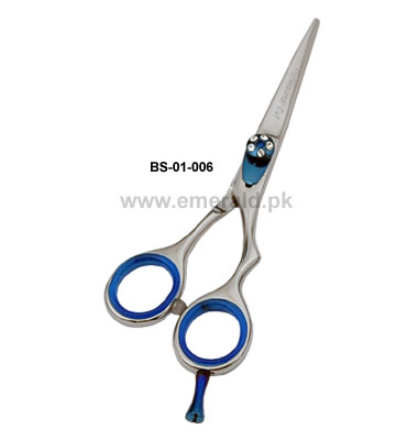 BS-01-006