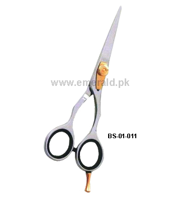 BS-01-011