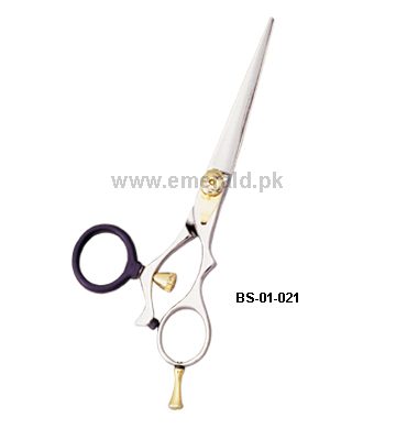BS-01-021