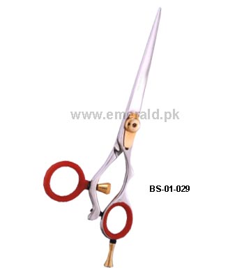 BS-01-029